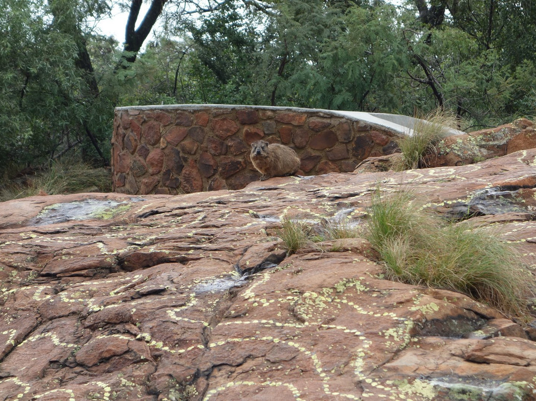 塔巴生态酒店主图