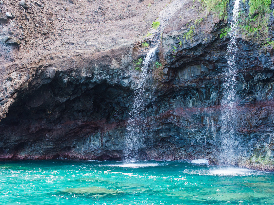 Kauai Sea Tours景点图片