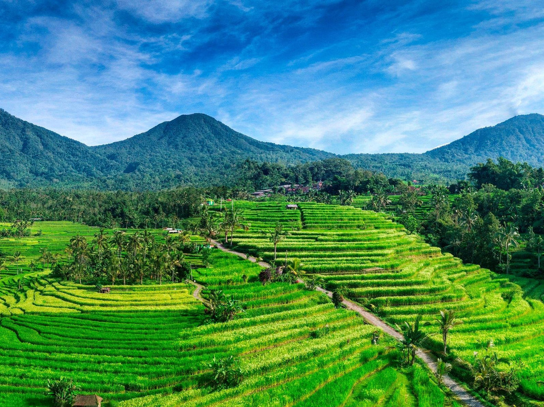 Bali Private Tour-吉安雅必去景点