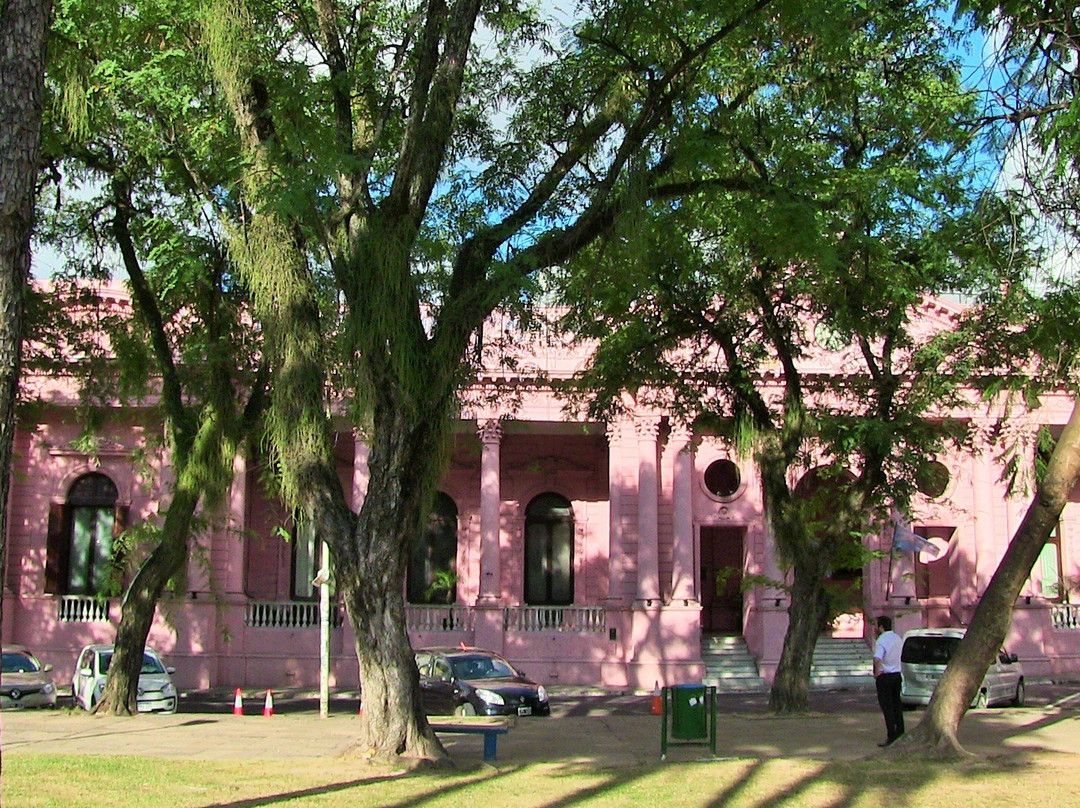 Casa De Gobierno景点图片