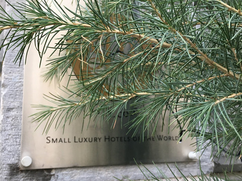 安缇茜宫殿世界小型豪华酒店主图