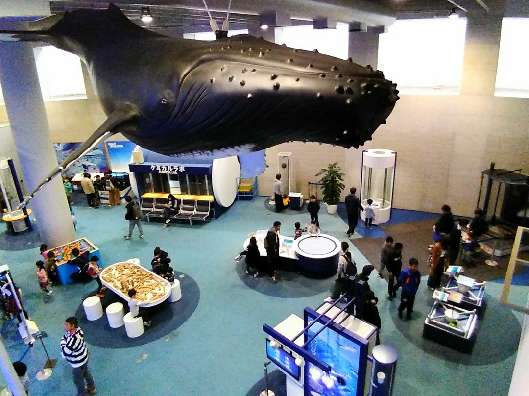 The Saga Prefectural Space & Science Museum景点图片