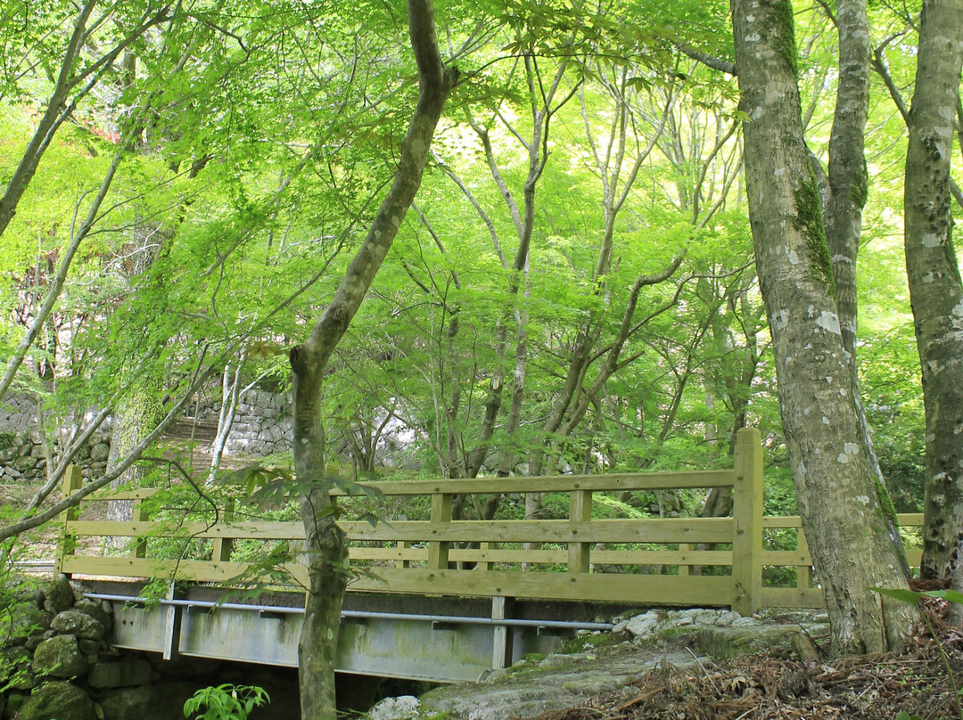 Kankyo Geijutsu no Mori-唐津市必去景点