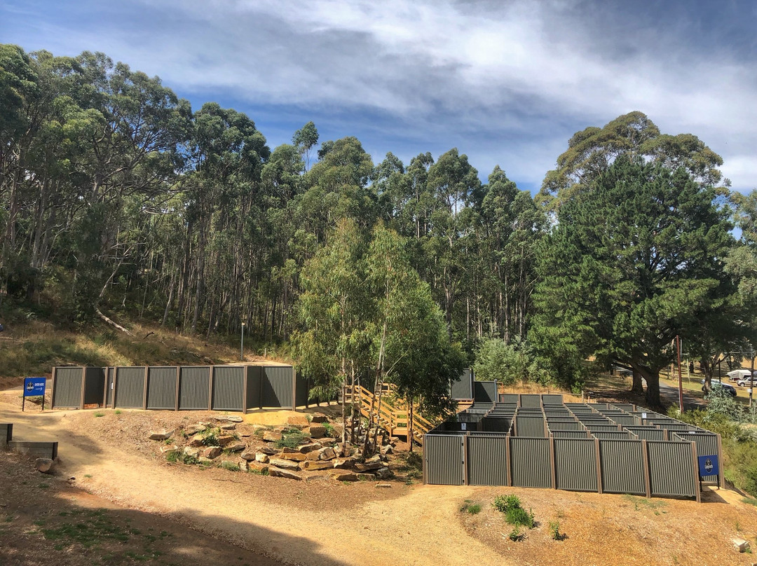 Woodhouse Adventure Park-阿德莱德必去景点