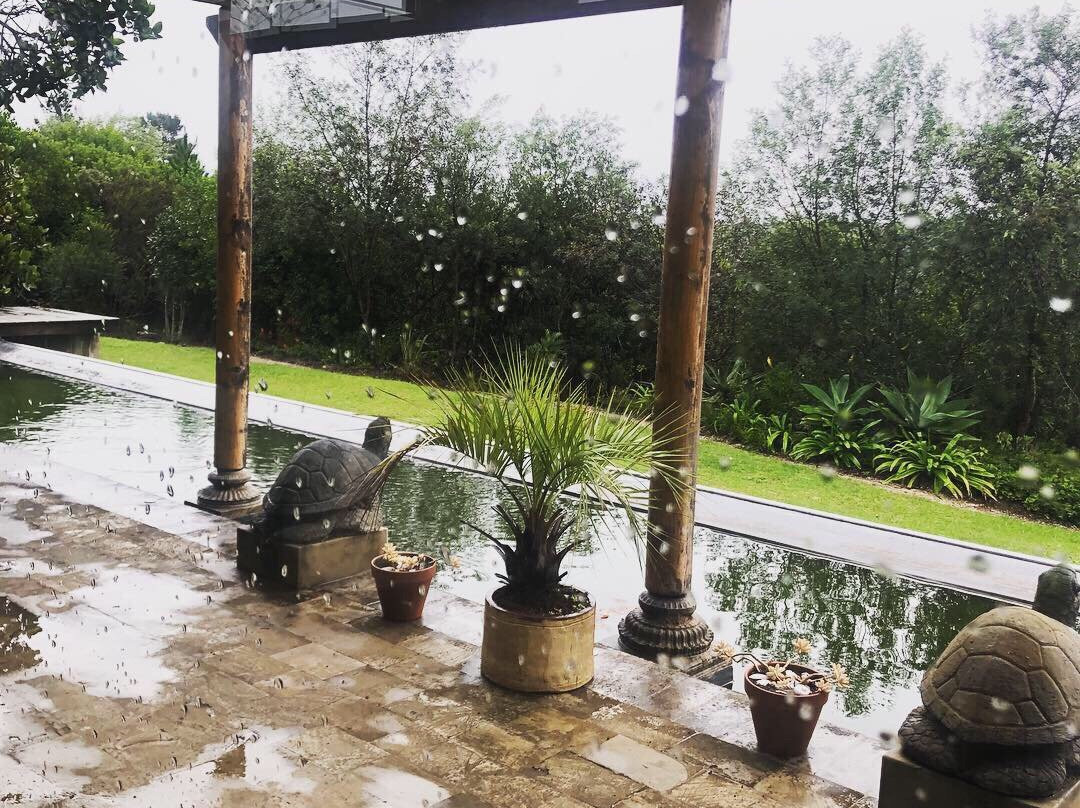 Forest Nature Spa-The Crags必去景点