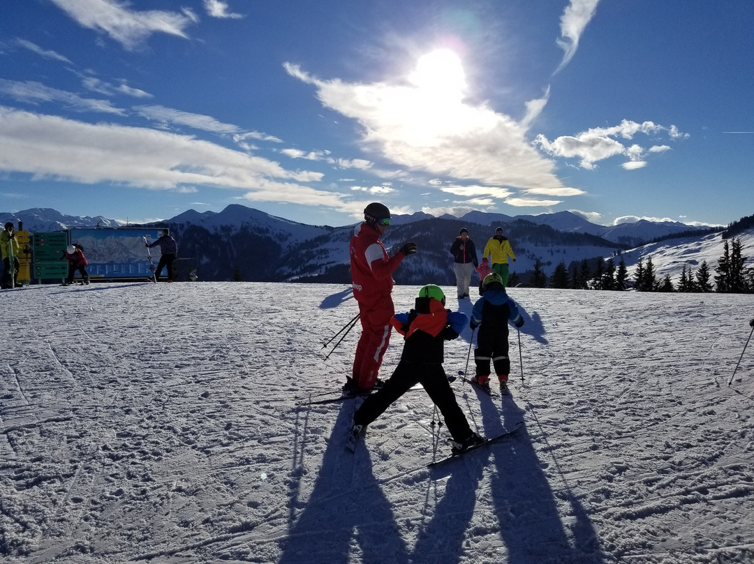 Oberau酒店住宿-Alpenhotel Wildschonau