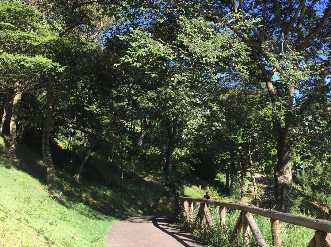 Parque Jardim do Lago - Antônio Garcia Machado景点图片