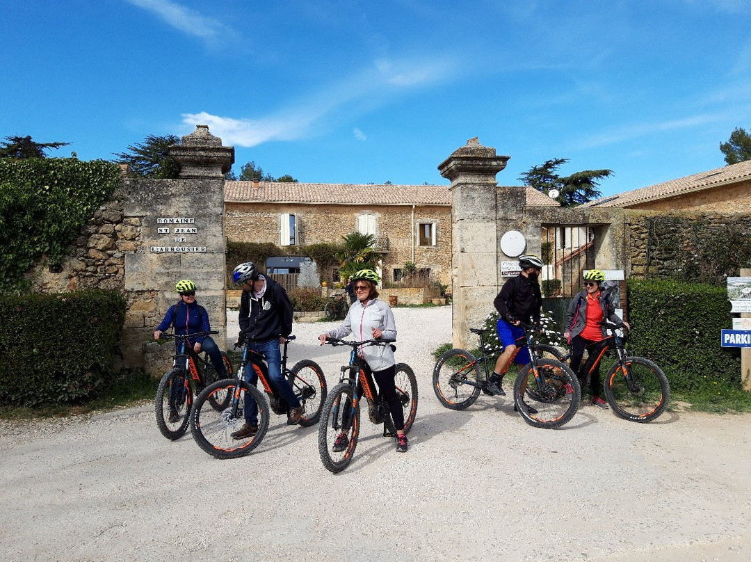 Seb Eco Bike景点图片