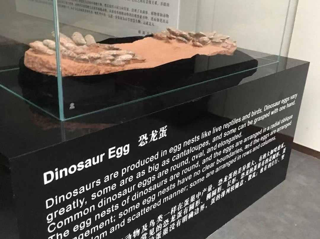 桂林榕湖美术馆-桂林市必去景点