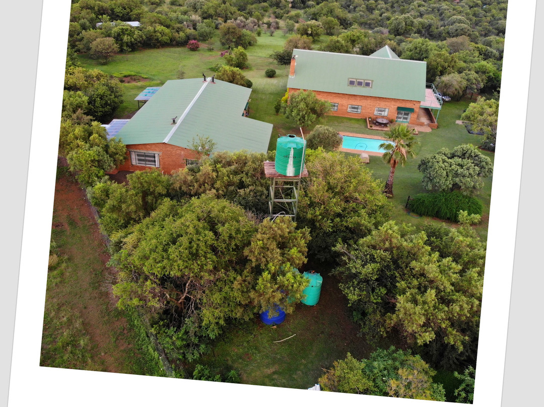 Olive Tree Farm主图