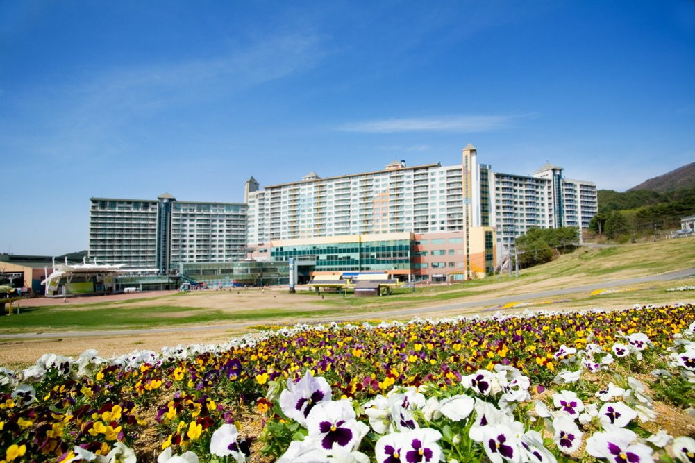 Baekya - Welli Hilli Park-横城郡必去景点