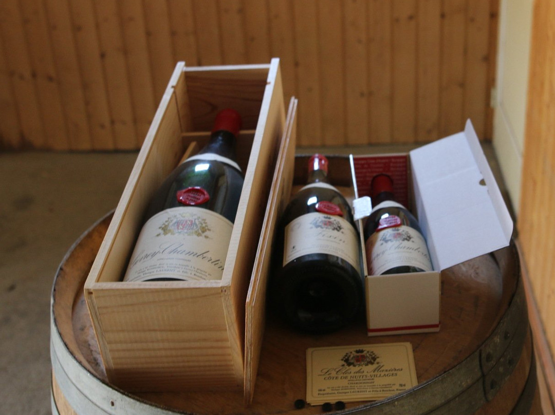 Domaine LE CLOS DES MAZIÈRES景点图片