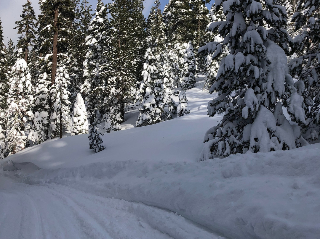 Coldstream Adventures-特拉基必去景点