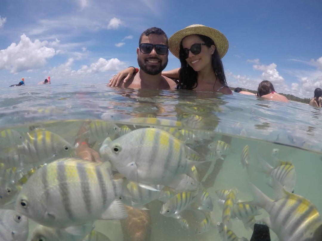 Sete Coqueiros Turismo-Maceio必去景点