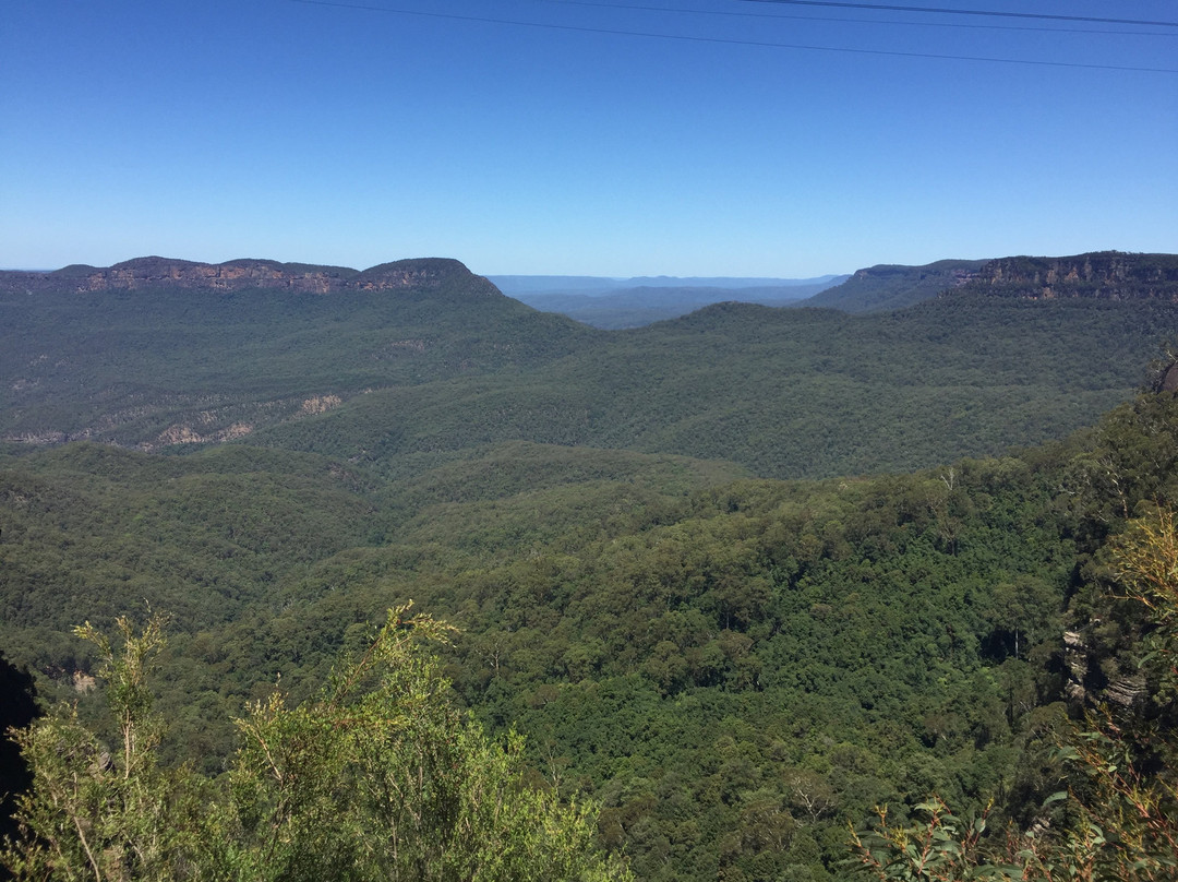 Blue Mountains Visitor Information-卡通巴必去景点