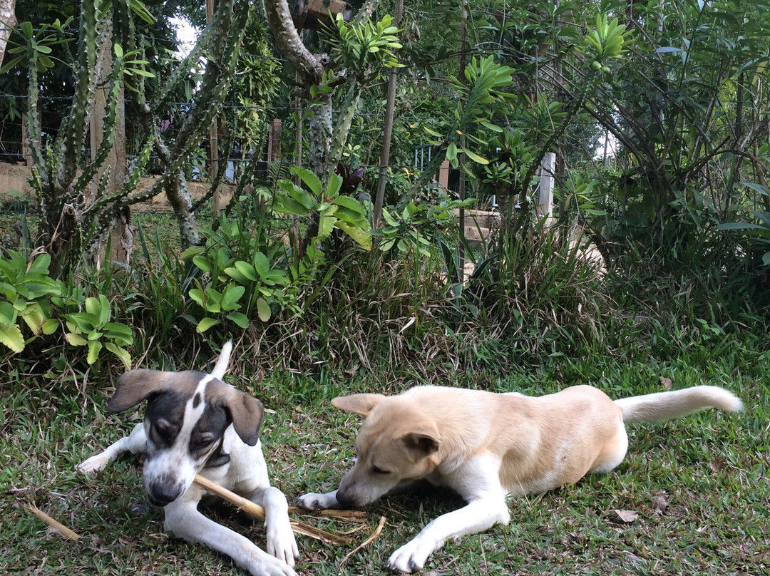 Vang Vieng Eco Lodge主图