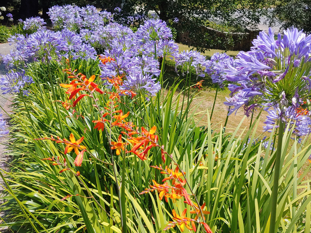 富兰克林庄园酒店主图