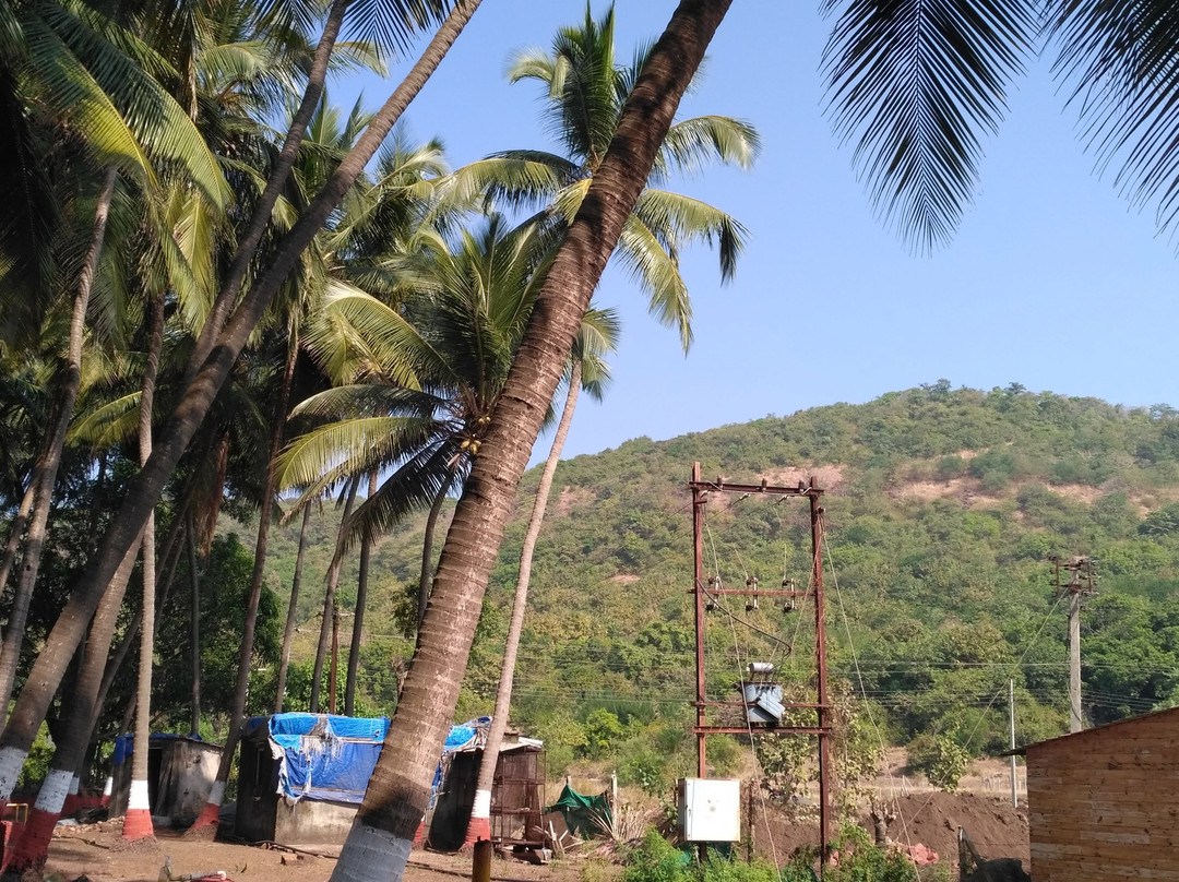 Surali Wadi Beach Resort主图