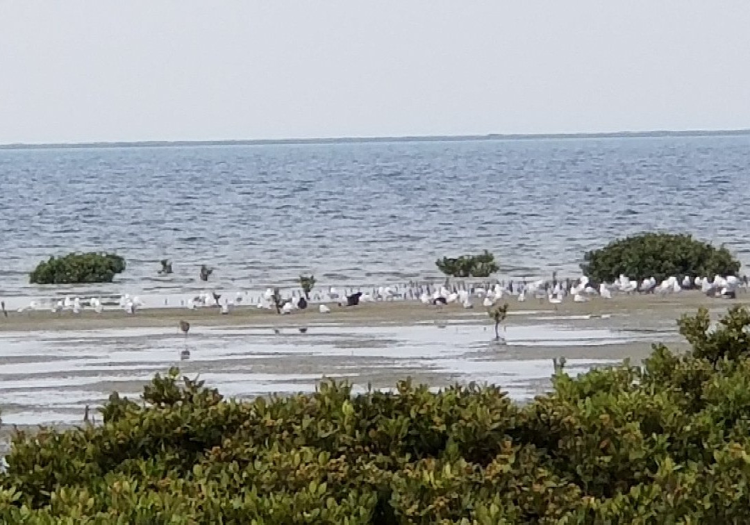 Toora Bird Hide-Toora必去景点