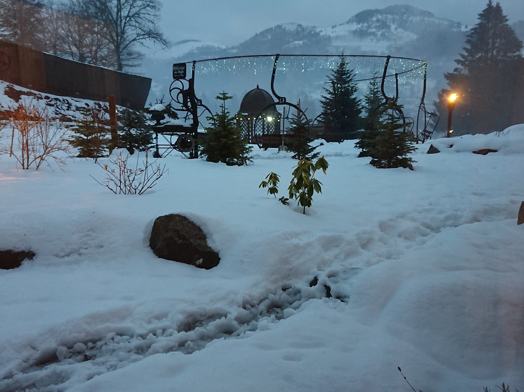 Chalets des Ayes