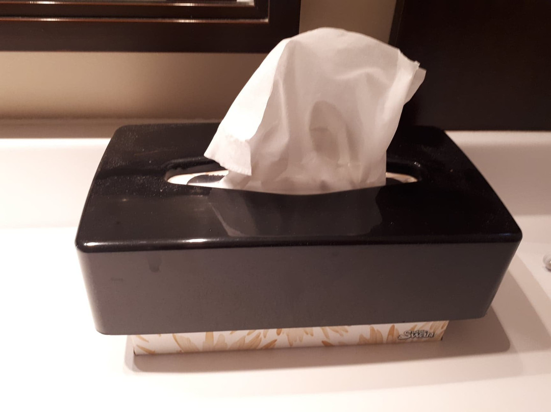 Hotel Le Versailles主图