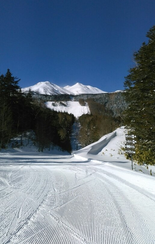 Mt. Norikura Snow Resort-松本市必去景点