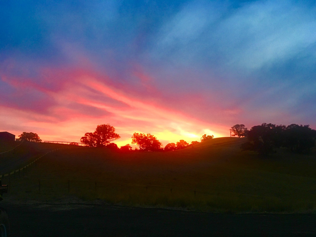 Wirraway Farm Stay主图