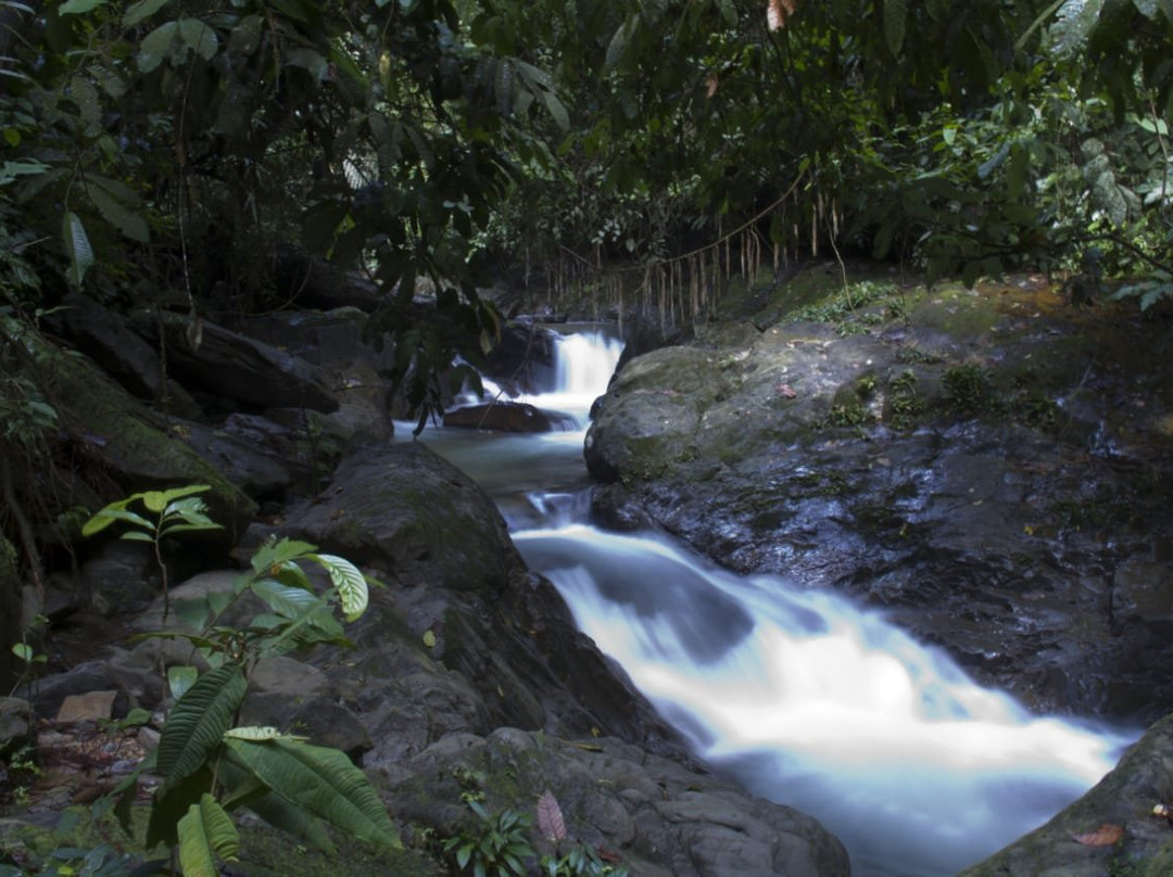 Sumatra Tour and Travel景点图片