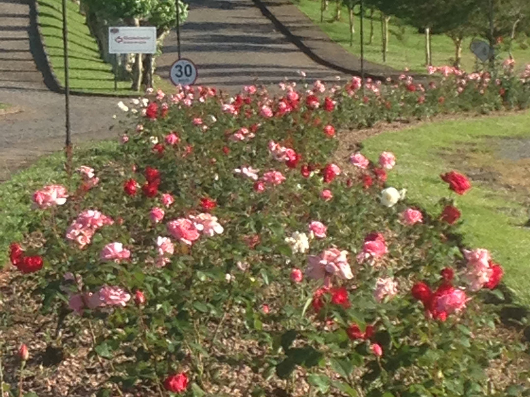 Villa Michelon主图