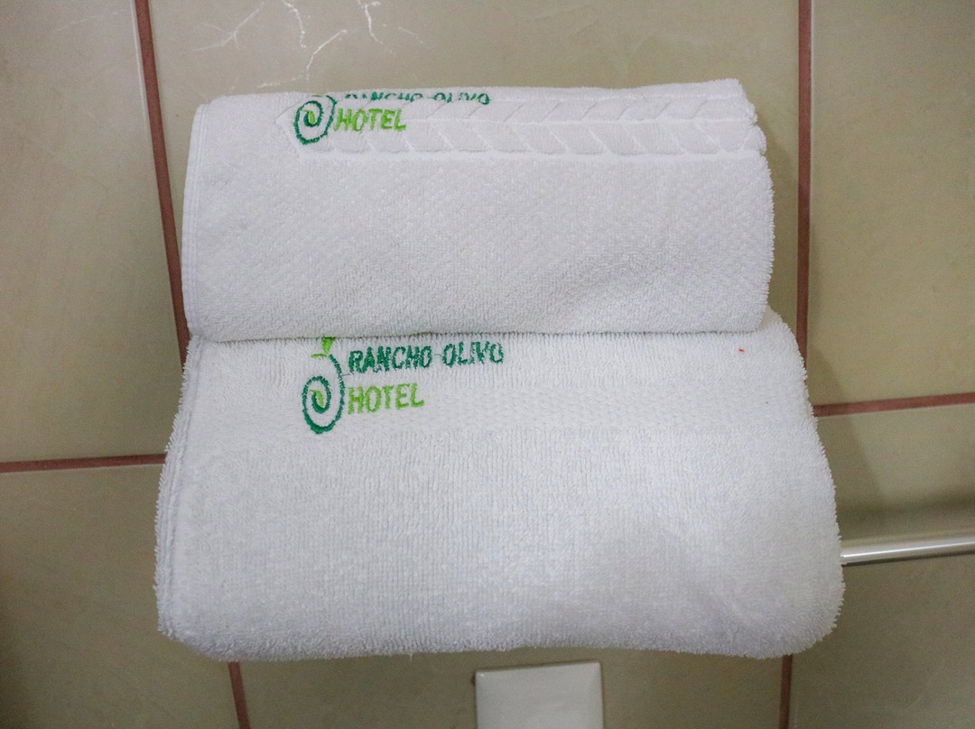 Hotel Boutique El Rancho Olivo主图