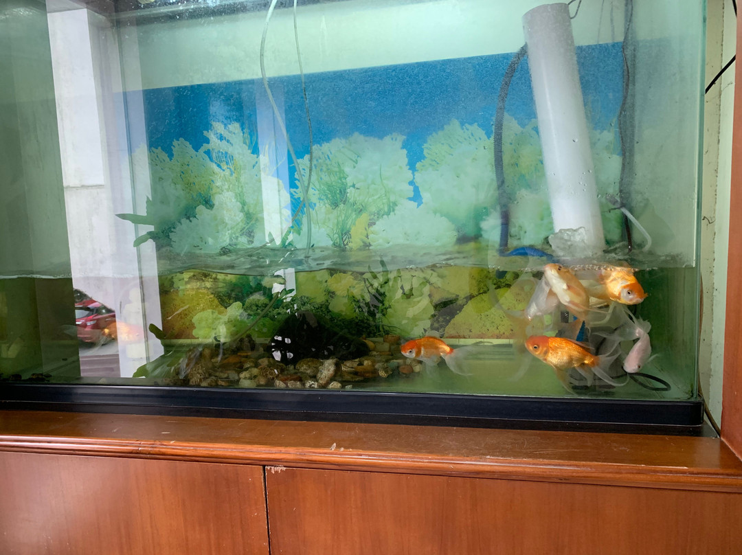 托拉雅旅大度假村主图