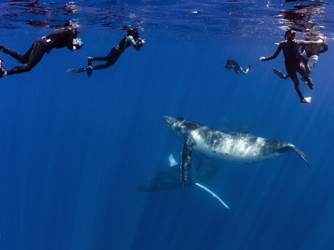 Nomad Diving-拉巴斯必去景点