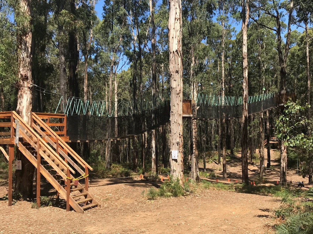 Kinglake Forest Adventures-Kinglake必去景点