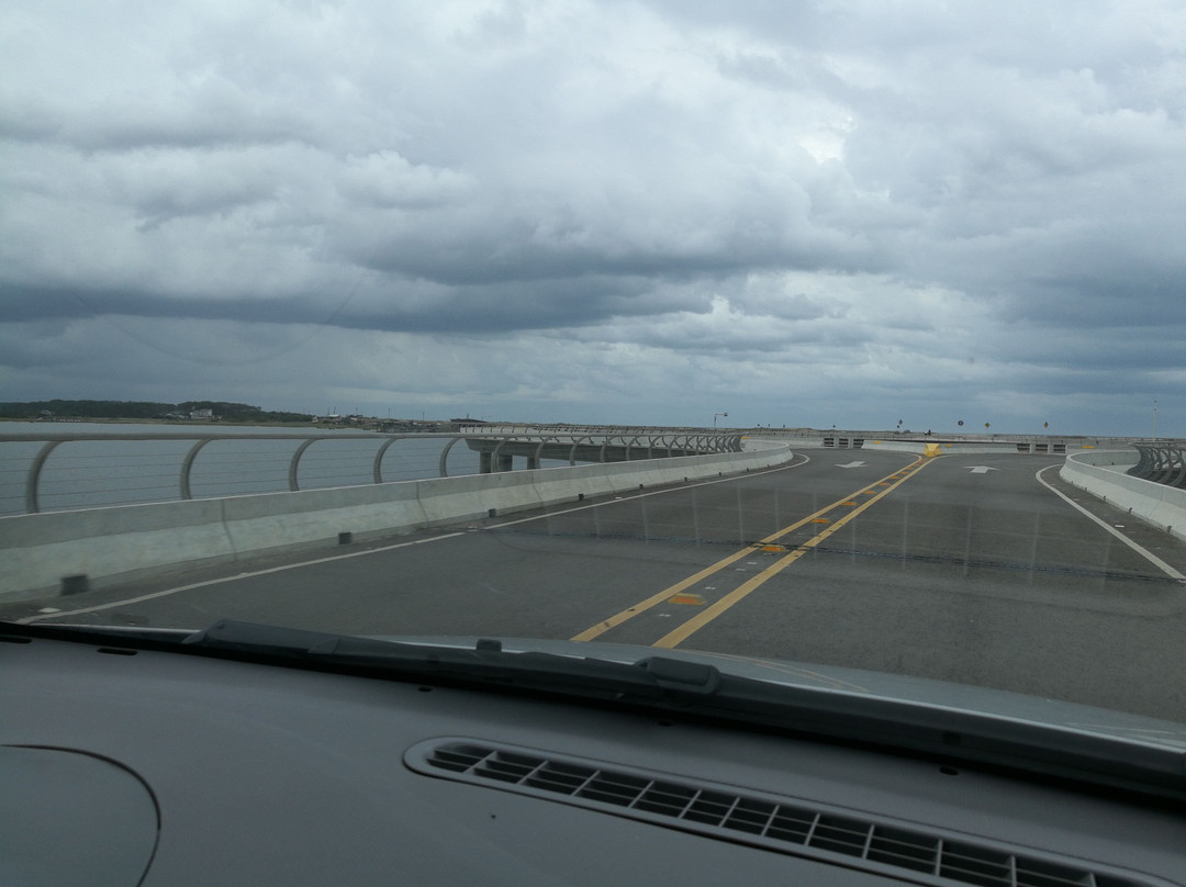 Puente Laguna Garzon景点图片