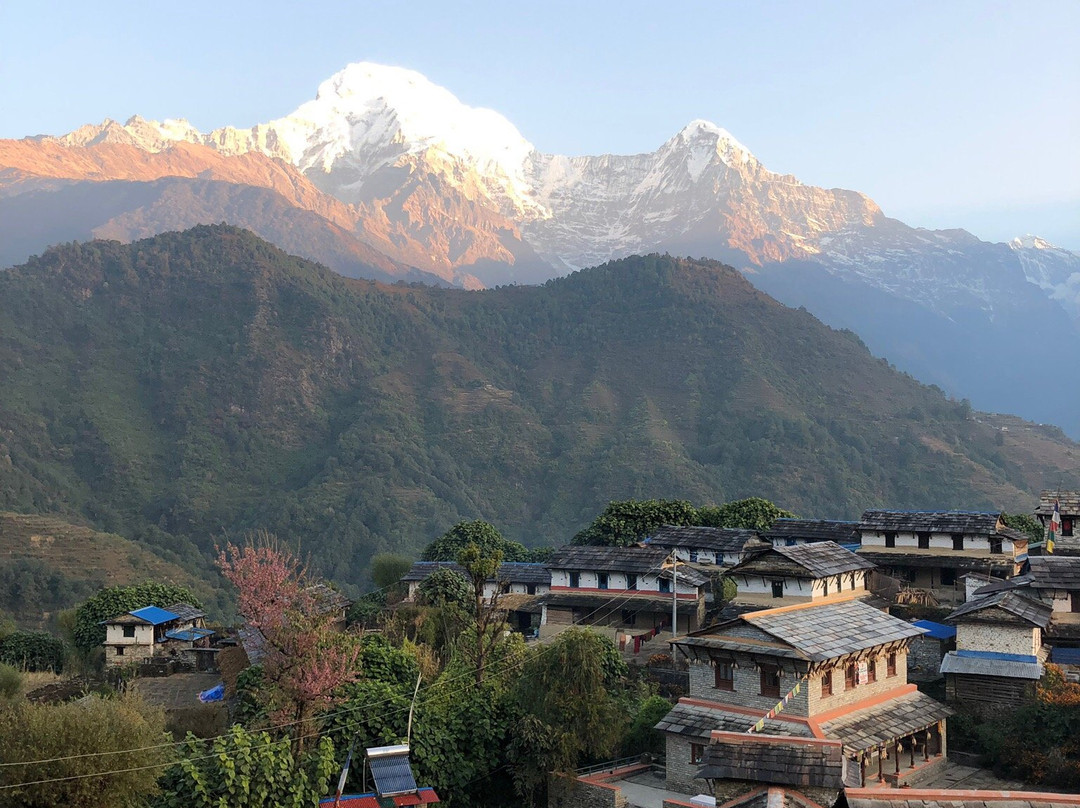 Bishow Guest House主图