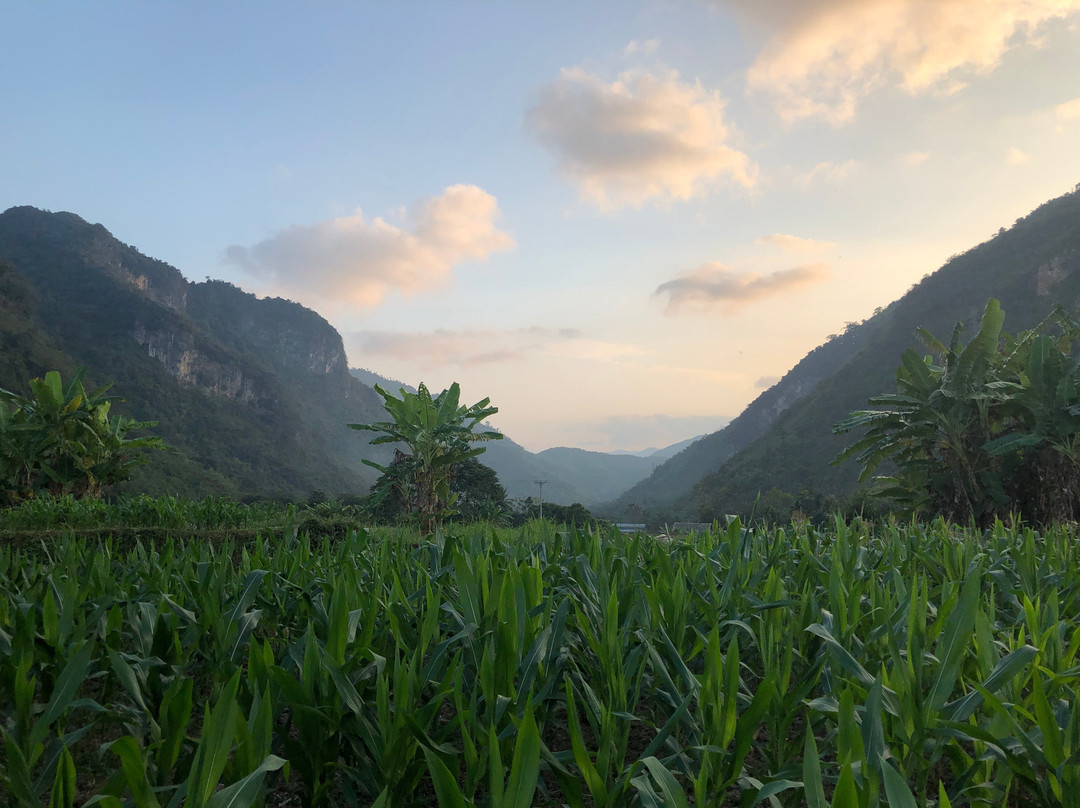 Mai Chau Family Homestay主图