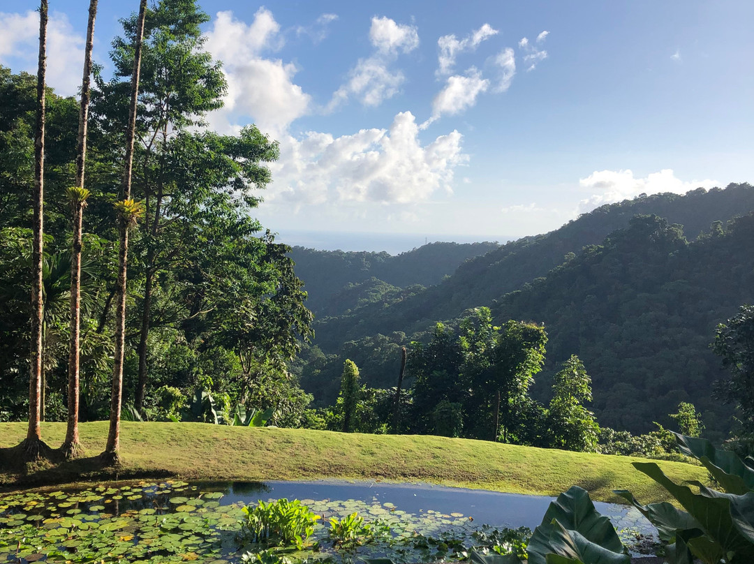 Jardin de Balata-法兰西堡必去景点