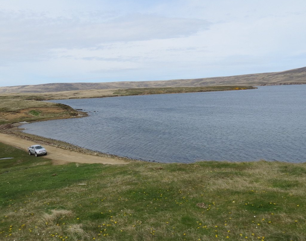 Blue Beach Military Cemetery-East Falkland必去景点