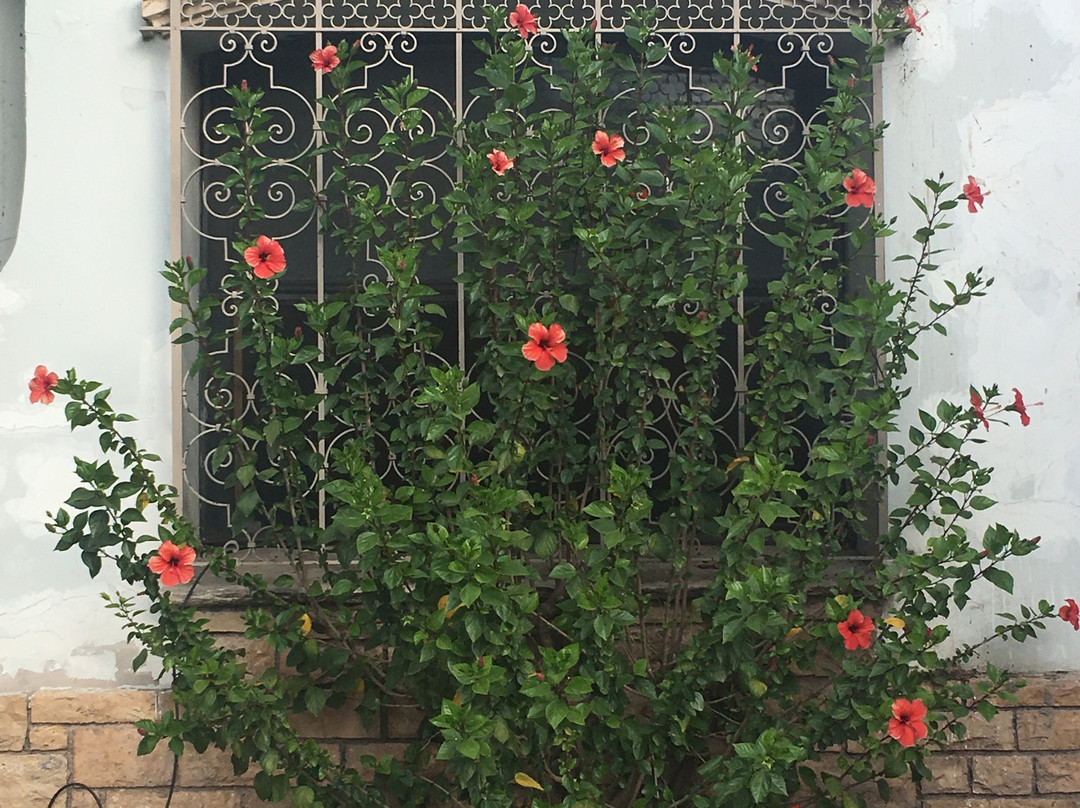 Hotel Savoia Mendoza主图