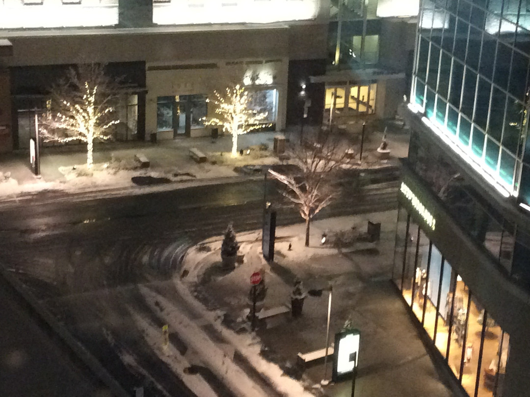 梅里菲尔德福尔斯彻奇凯悦豪斯酒店主图