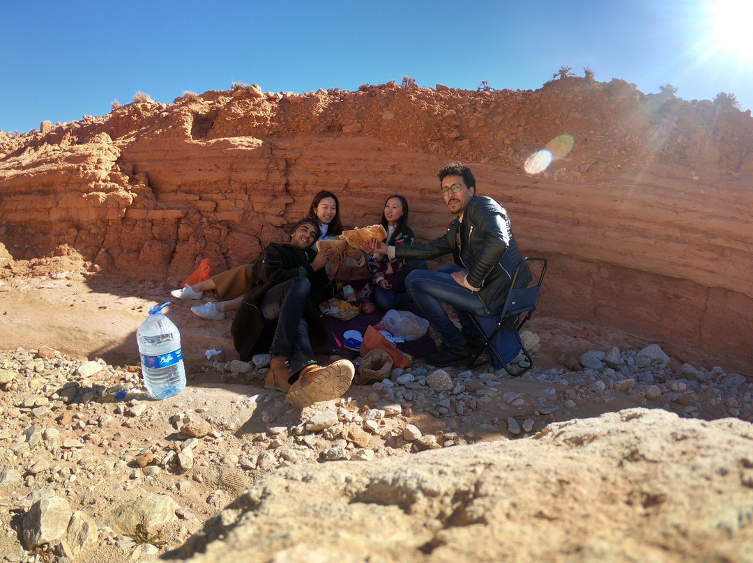 Camel Ride Trips-非斯必去景点