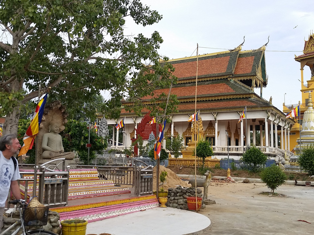 Siem Reaper Travel - Phnom Penh Day Tours景点图片