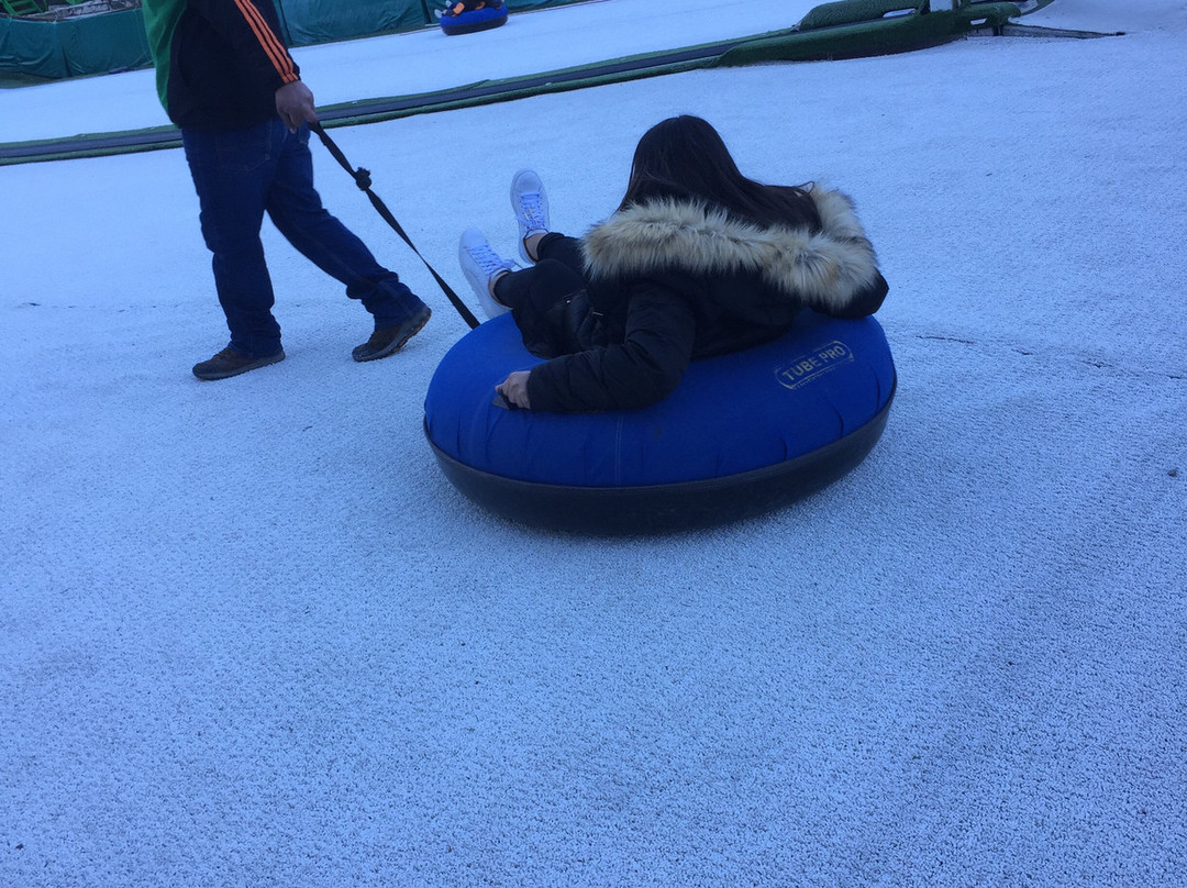 Bosques de Monterreal主图