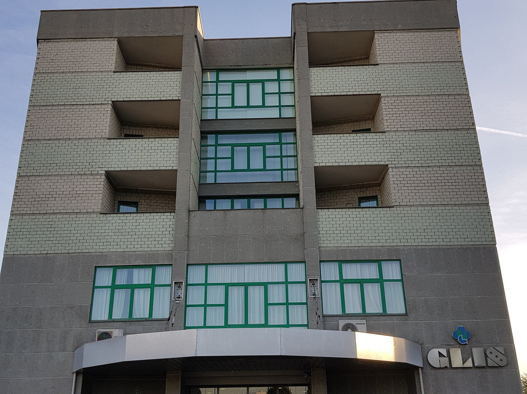 Hotel Glis主图