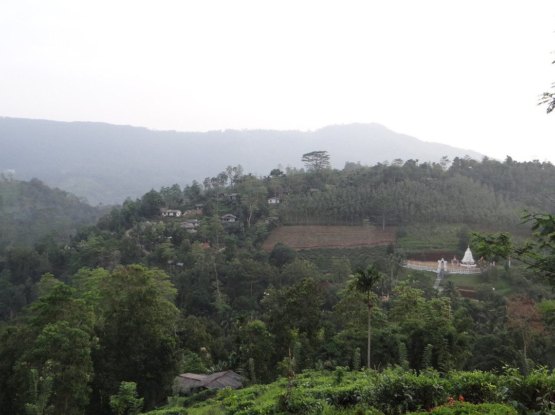 Sinharaja Green Homestay主图