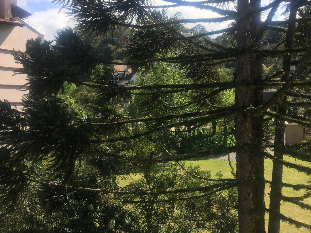 Micheline Hotel Tricot主图