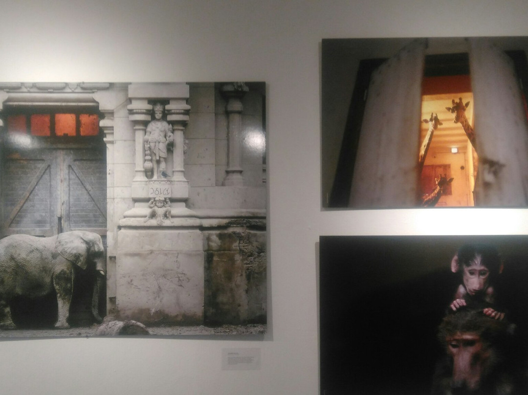 Espacio Cultural Julio Le Parc-门多萨必去景点