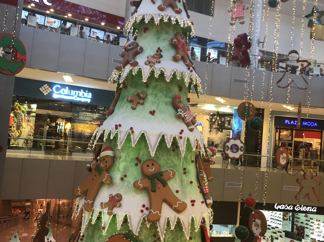 2023年12月Ventura mall景点攻略Ventura mall门票预订地址图片Ventura mall景点点评猫途鹰