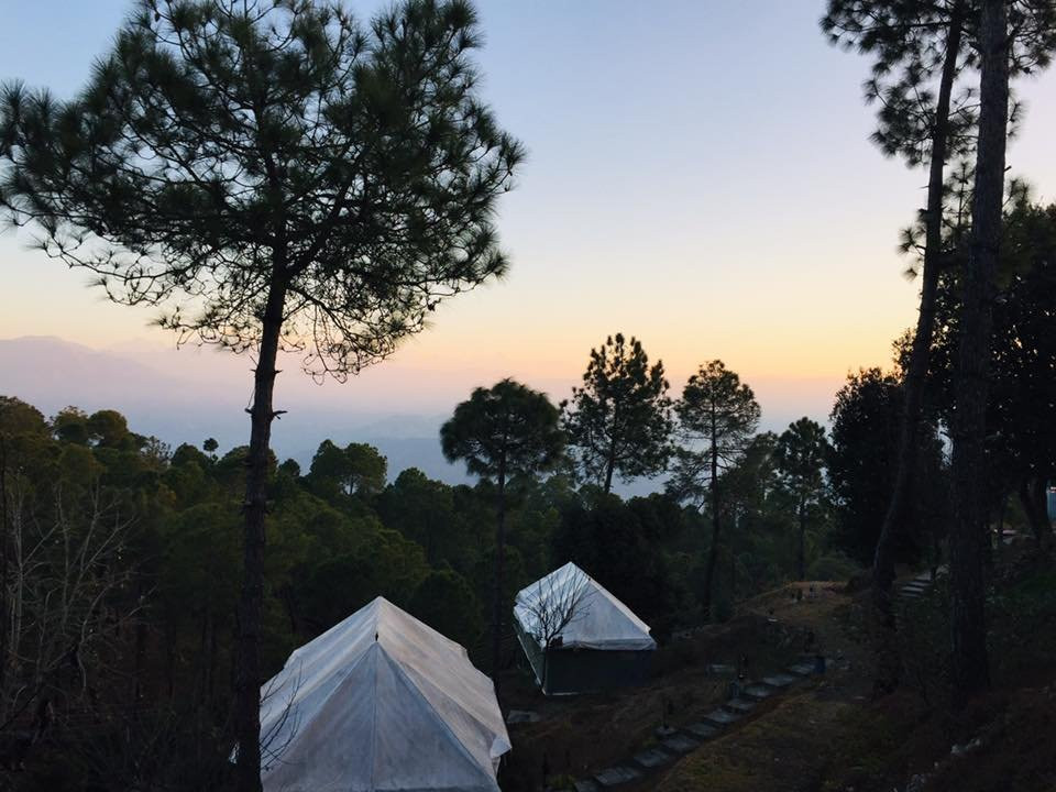 Seed At Queens Meadows, Ranikhet主图