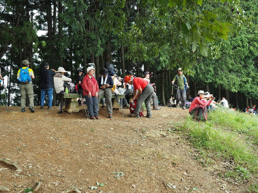 Mt. Monomiyama-日高市必去景点